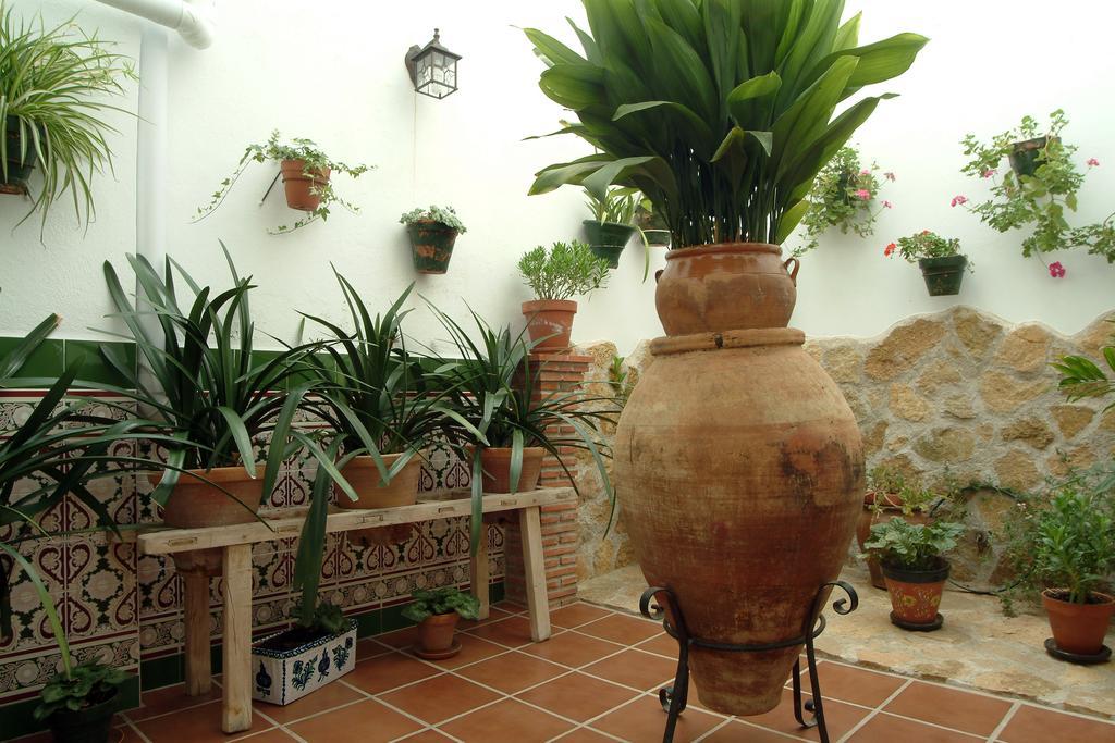 Tio Jose Maria Apartment *